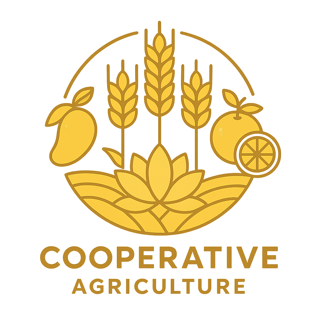 HTX DVNN Số 2 Tân Nghĩa