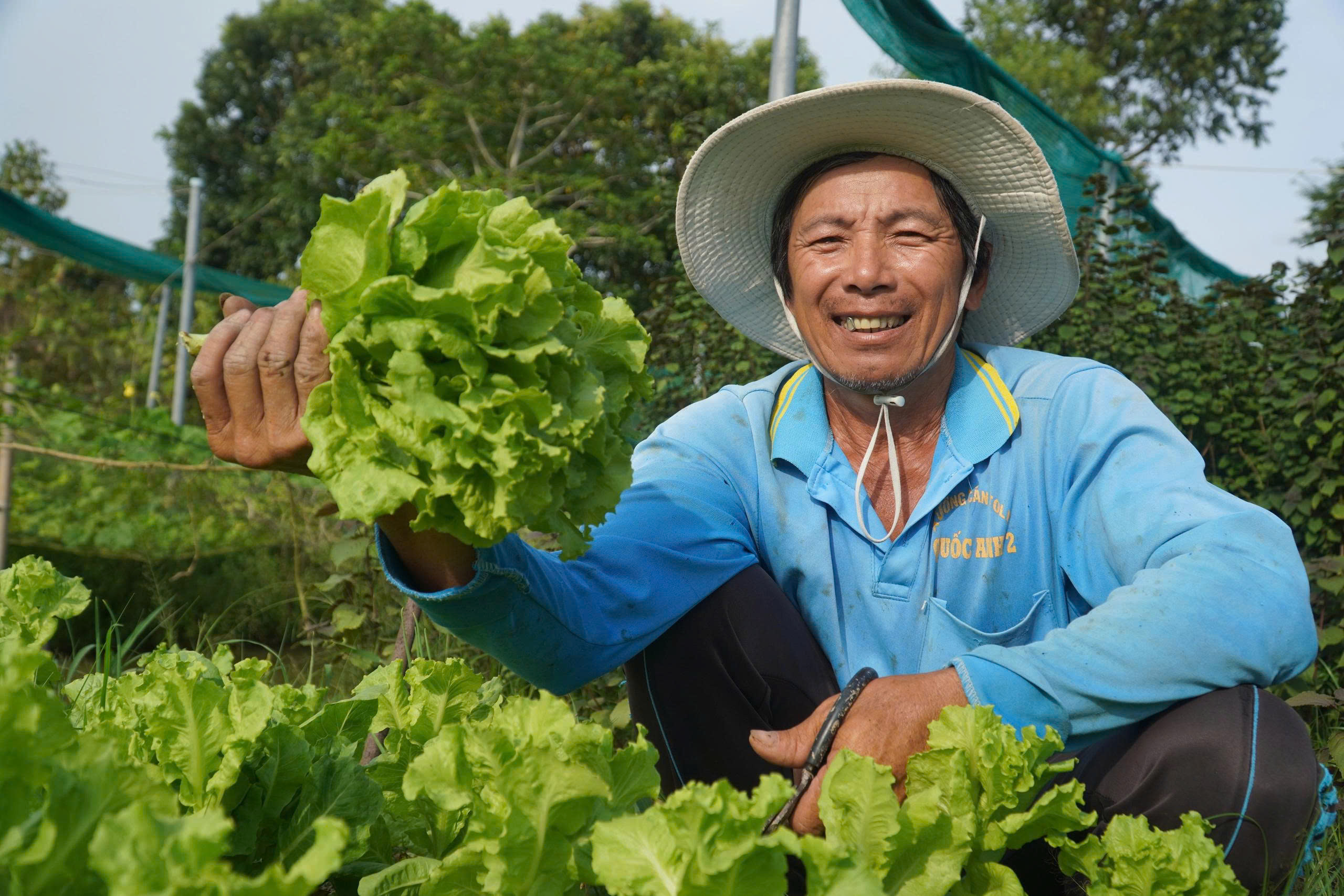 Nông nghiệp phường Mỹ Ngãi