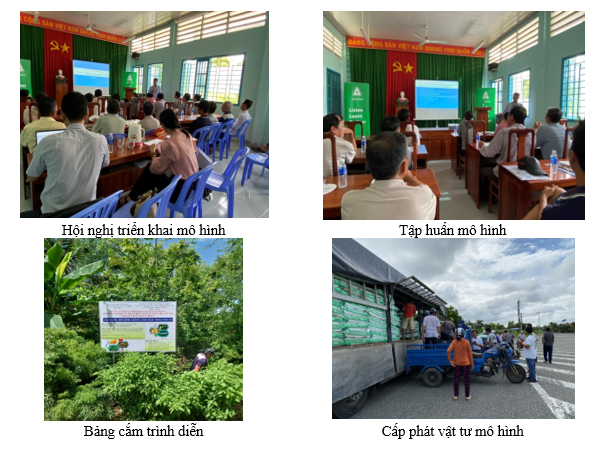 Mô hình Thâm canh xoài theo VietGAP thuộc Dự án Khuyến nông Trung ương